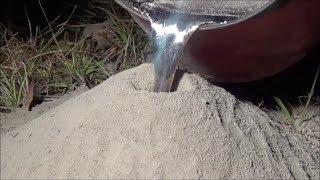 Amazing sculpture made by pouring molten aluminum into ant colony