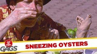 Sneezing Oysters - crazy joke