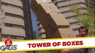 Leaning Tower of Boxes - funny video