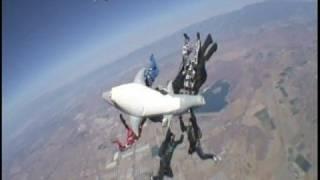 Skydiving with a shark