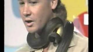 Steve Irwin TV Show event - Rare Snake Bite