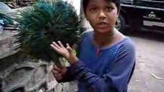 Talented Indian Kid speaks many languages