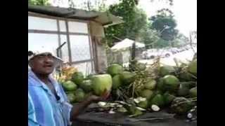 How to cut coconut // Hawaii vs Trinidad Methods
